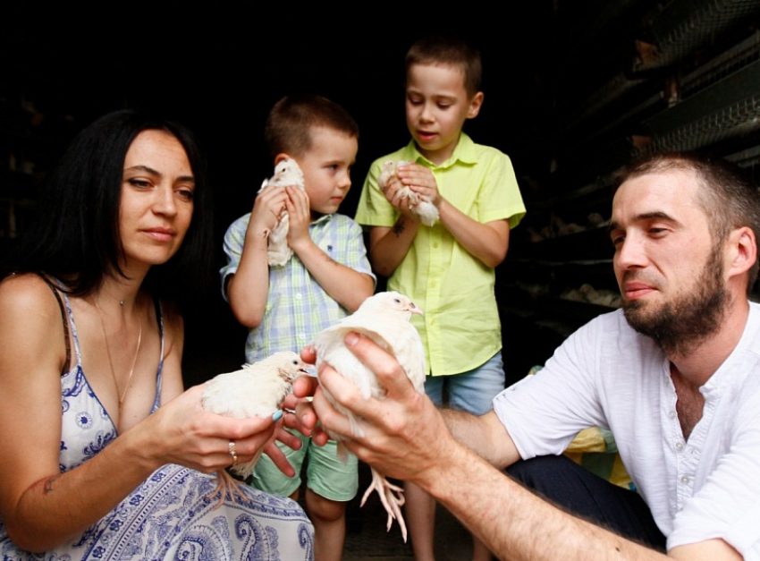 Выплаты по социальным контрактам на Кубани увеличили