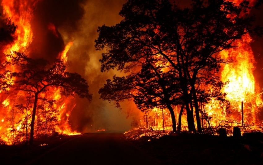 В Анапе сохраняется режим чрезвычайной пожароопасности 