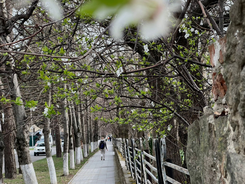 В Международный день детской книги в Анапе облачно
