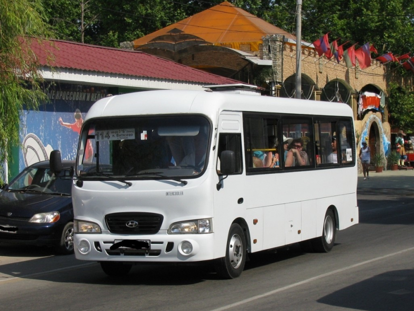 Анапчанин нашёл способ разгрузить автобусы, которые едут в с. Витязево