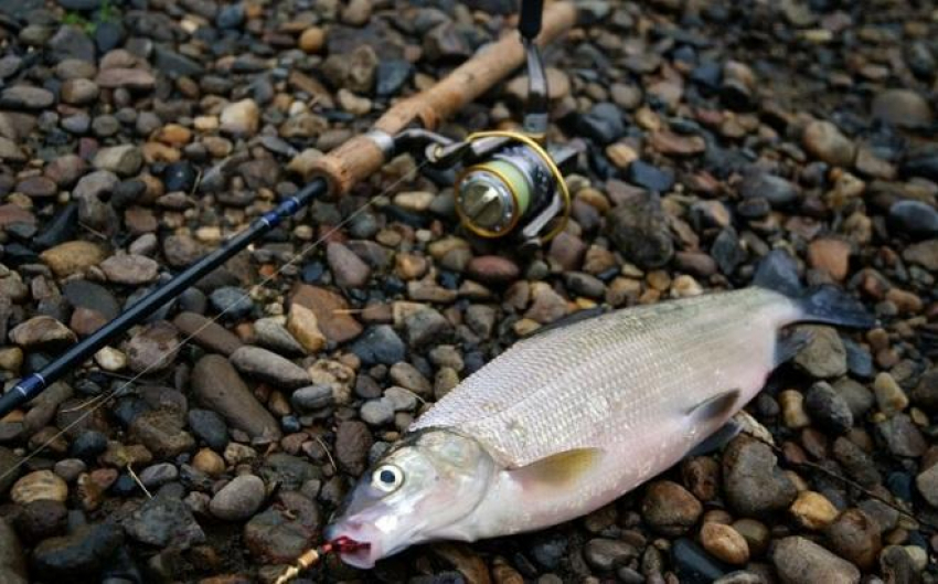 В соседнем с Анапой городе прокуратура нашла более 4000 незаконных орудий для лова рыбы