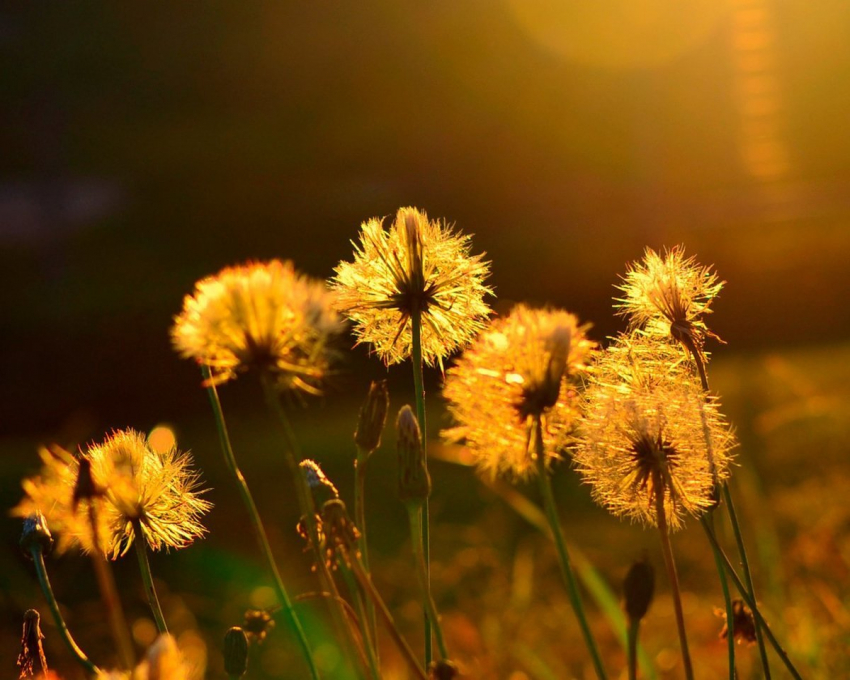 Сегодня, 3 июня, в Анапе будет жарко