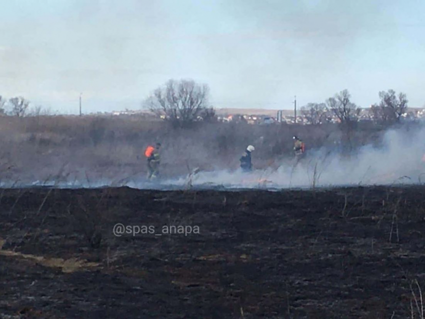В Анапской загорелось поле: к месту пожара прибыли спасатели