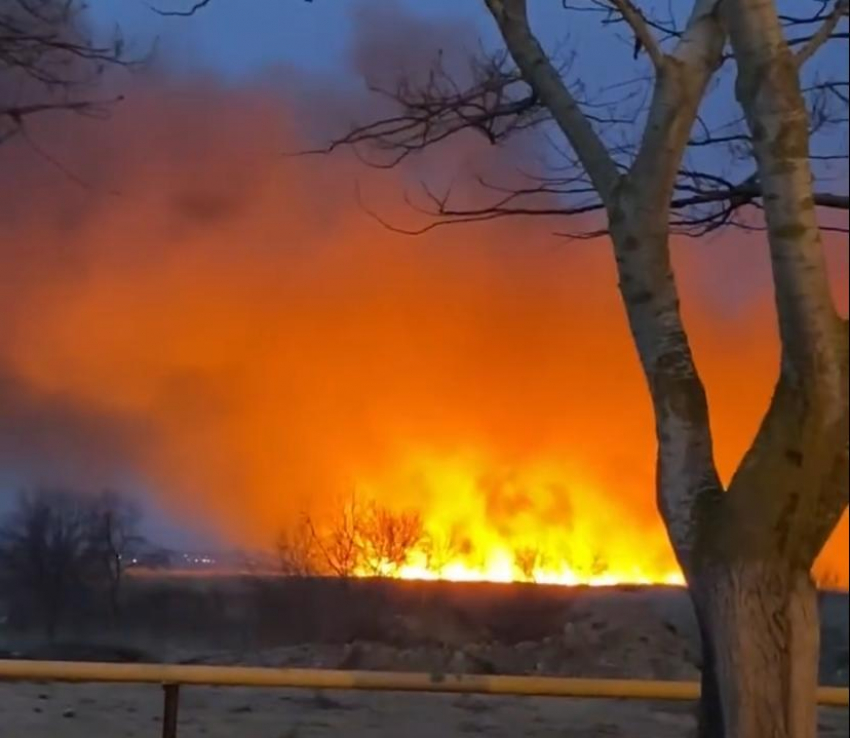 Стали известны подробности пожара в плавнях в селе Витязево под Анапой