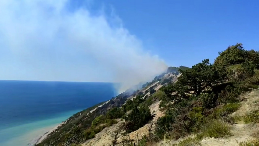 Подключили авиацию: в Анапе тушат крупный лесной пожар