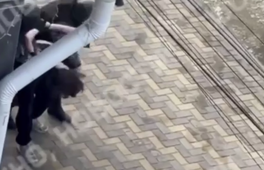 Стрелок в Анапе интересовался поиском госпожи для секса