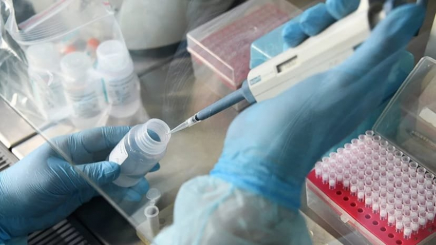 88 человек заразились коронавирусом, в Анапе +3. Сводка на 17 августа