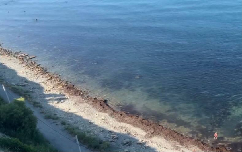На пляж 40 лет Победы штормом принесло красные водоросли