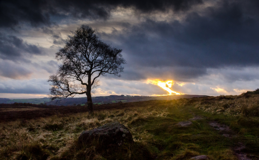 Во вторник, 20 ноября, в Анапе до +12