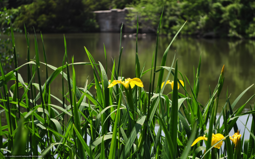 Какой будет погода в Анапе в понедельник, 8 июля?