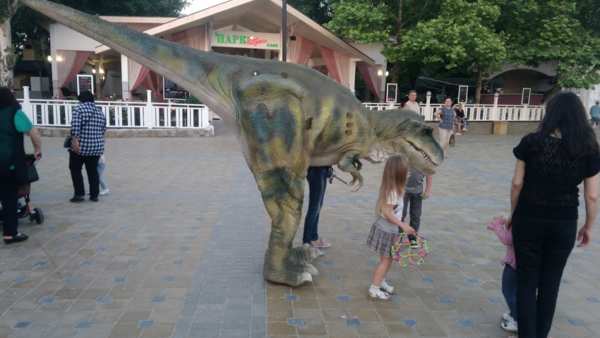 Как завести свой маленький бизнес в Анапе?