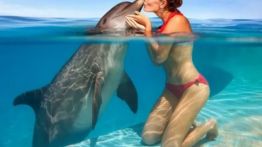 19 февраля, в международный День китов и дельфинов в Анапе будет облачно