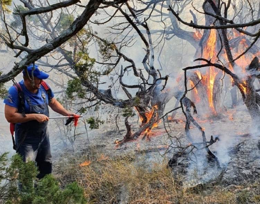 Штрафы пользователям лесного фонда за противопожарные нарушения могут увеличить