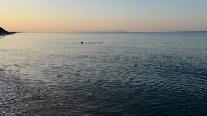 Гороскоп для анапчан с 11 по 17 сентября: Овнам будет сопутствовать удача во всех начинаниях