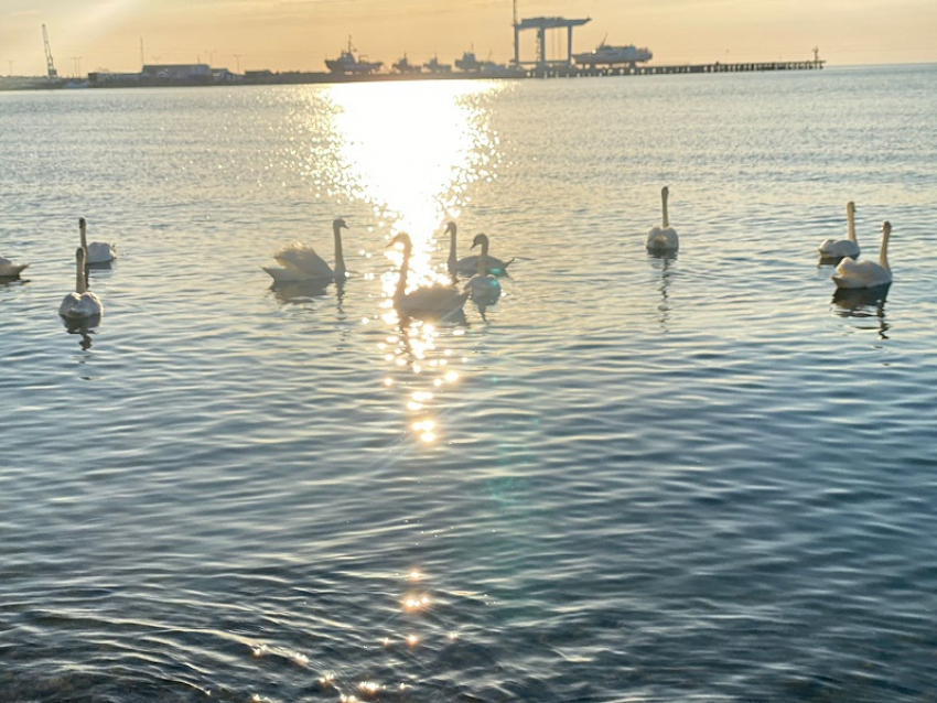 В Международный день музеев в Анапе возможен небольшой дождь