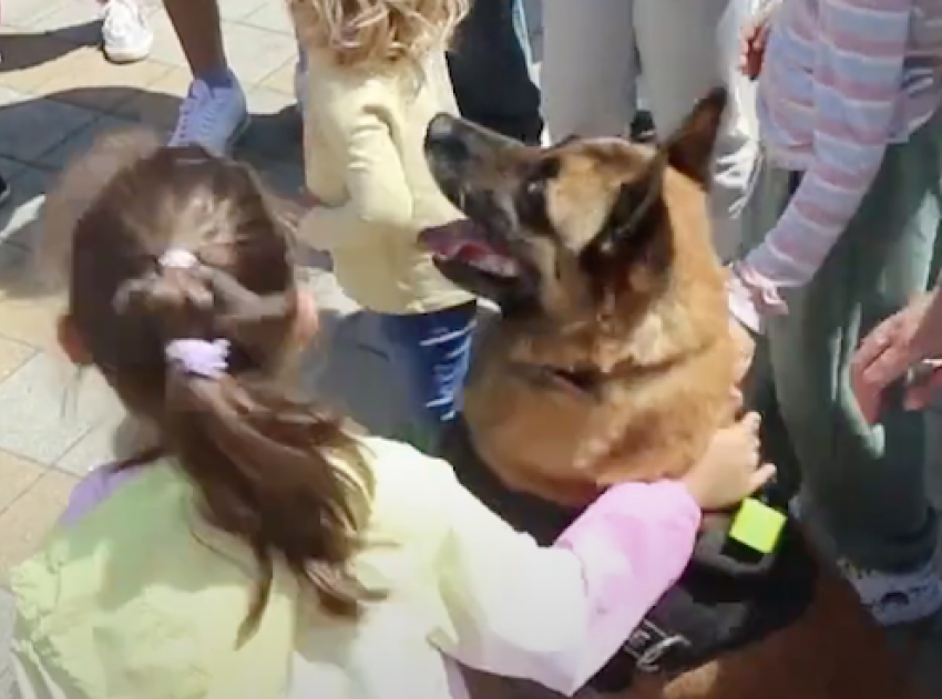 Дети были в восторге от служебных собак, квадроциклов и полицейских Анапы