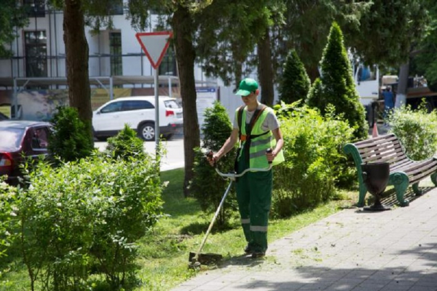 На покос и полив зеленых насаждений в Анапе выделяют 4,3 млн рублей