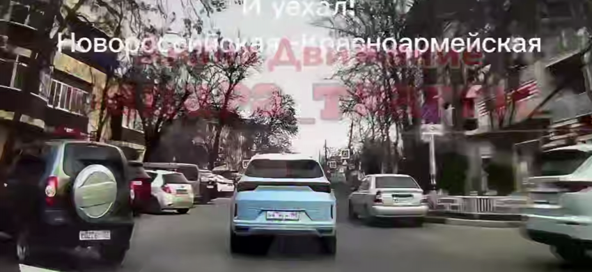 Собаку переехали на пешеходном переходе в Анапе: водитель скрылся