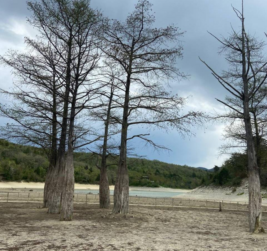 В Международный день Матери-земли в Анапе дождливо и пасмурно