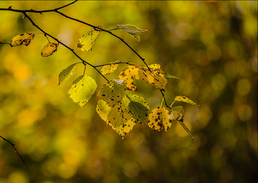 26 сентября в Анапу пришла настоящая осень