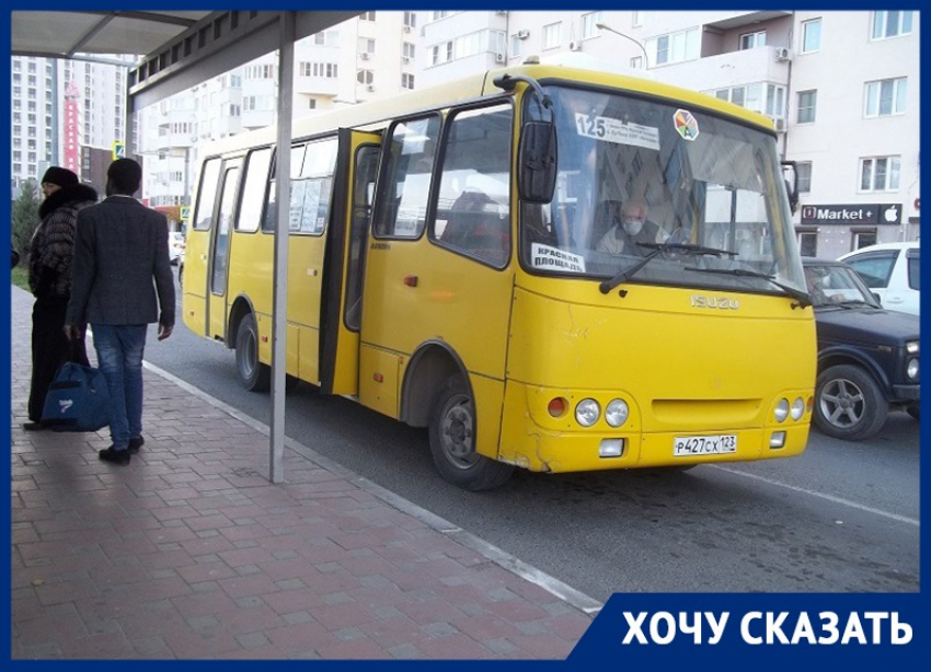 Светлана Кожевникова считает, что работа автобусов в Анапе плохо организована