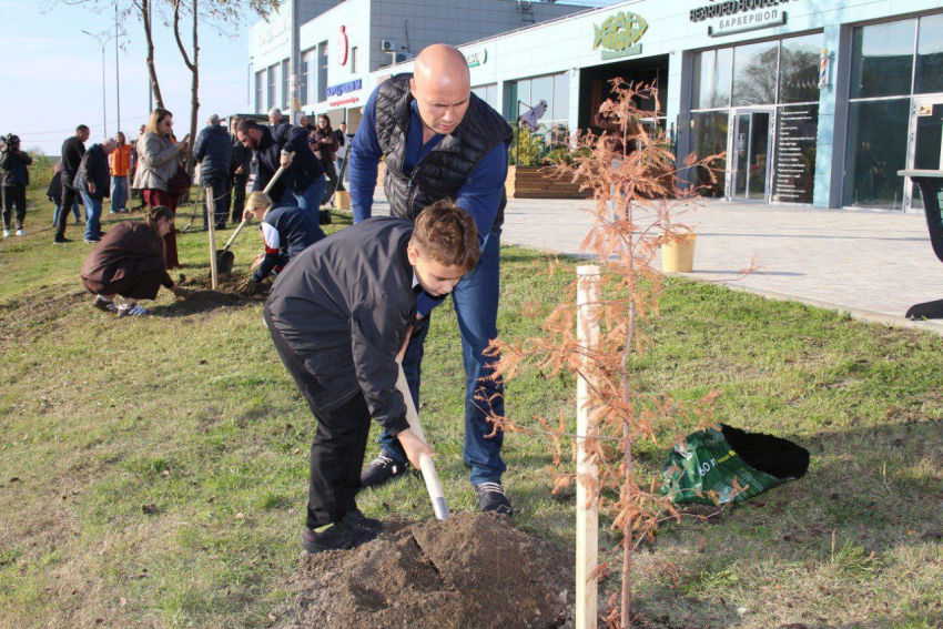 В Анапе высадили кипарисовую аллею вдоль реки 