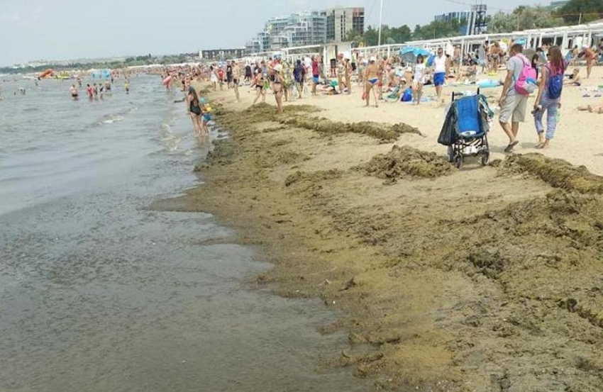 Мы нос воротим от камки, а в 19-м веке в Анапу специально приезжали ради нее