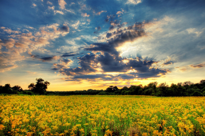 В воскресенье в Анапе ожидается ясная погода