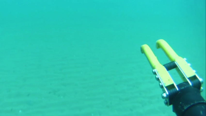 Водолазы собрали более 400 тонн мазута в Анапе 