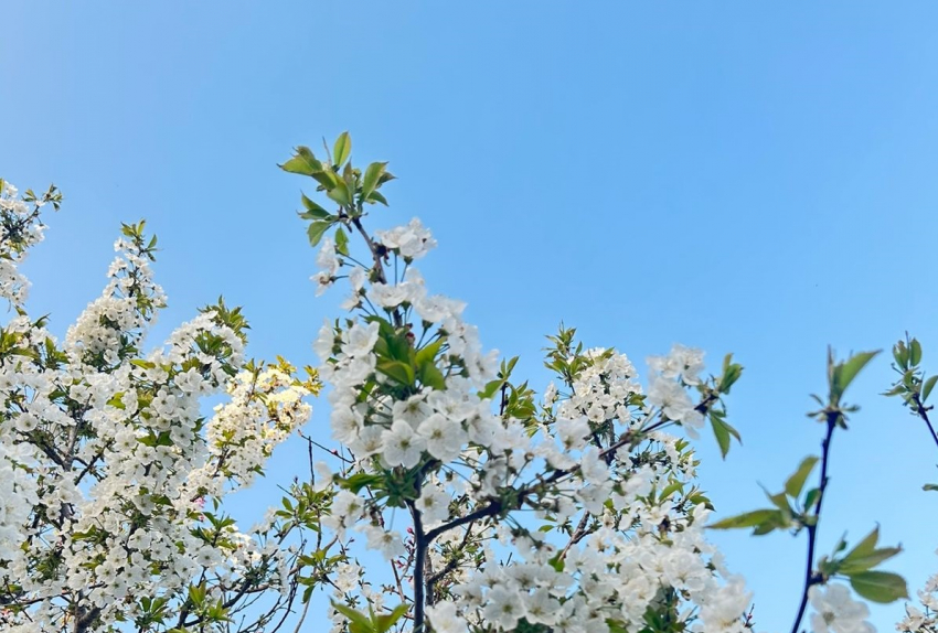 Во Всемирный день свободы печати в Анапе солнечно