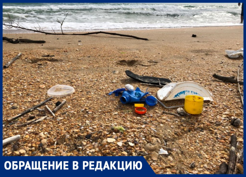 Андрей Берг предложил, как можно очистить пляжи Анапы от мусора