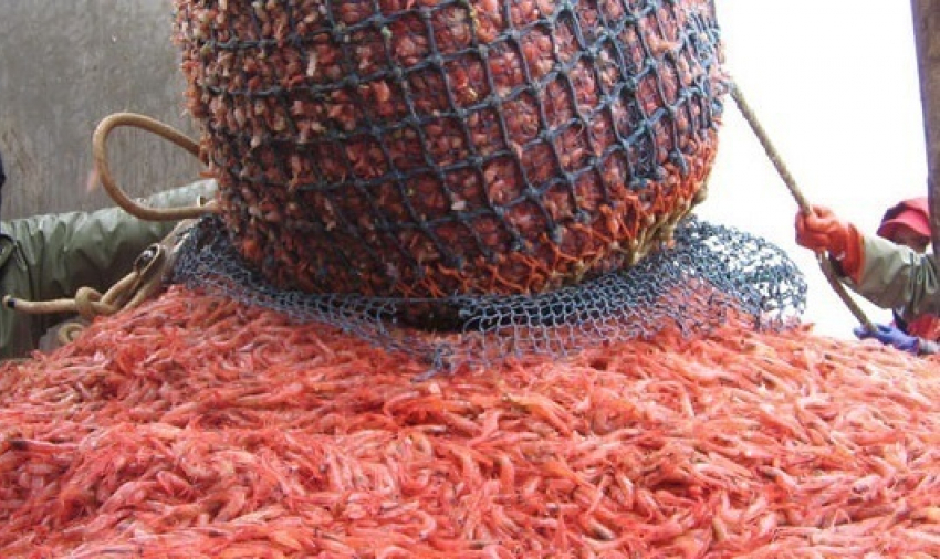 Против анапских браконьеров возбуждено уголовное дело