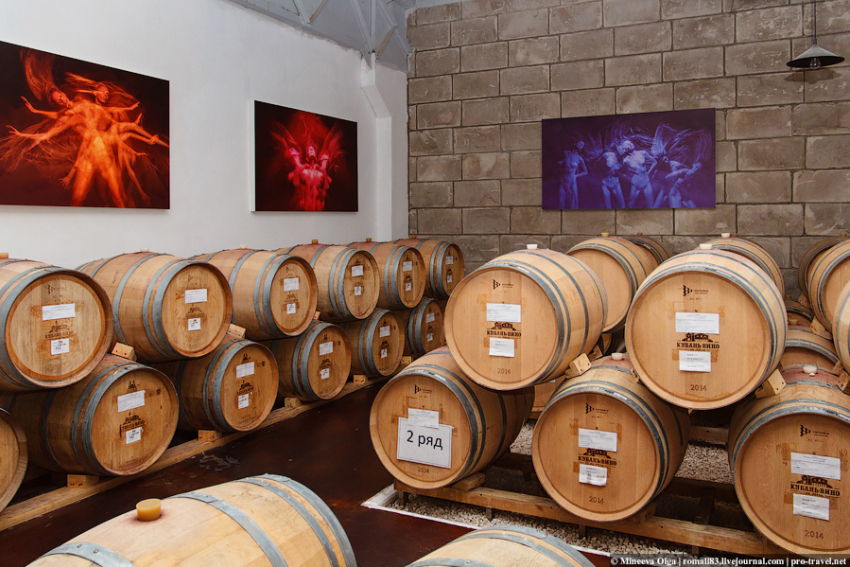 Тяжба за 105 миллиардов ГК «Ариант»: анапской винодельне «Кубань-Вино» «развязывают руки»