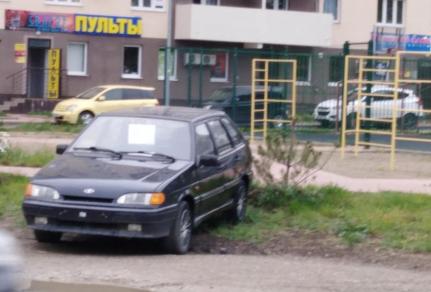 Пока мэр Анапы засаживает зеленью город, некоторые анапчане варварски уничтожают газоны