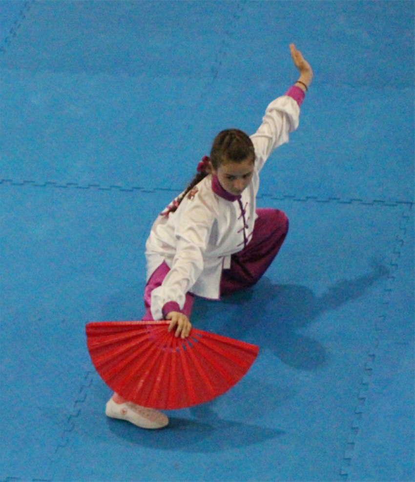 В Анапе завершились игры боевых искусств и спортивных единоборств 