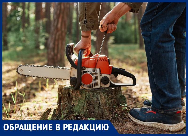 Second hand deals tree cutting machine