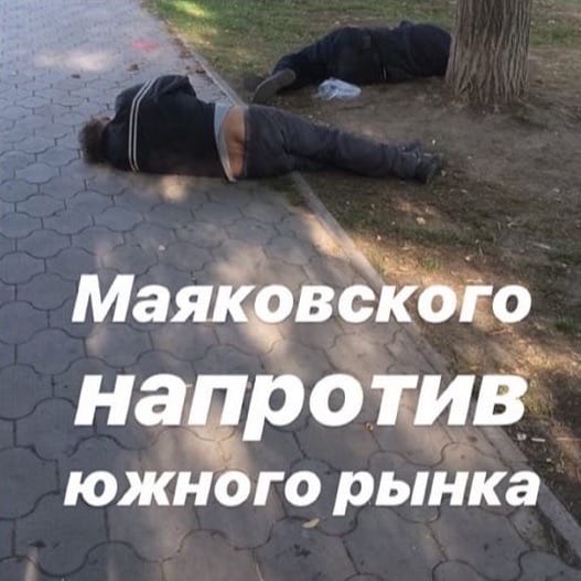 PHOTO-2019-10-25-17-21-36.jpg PHOTO-2019-10-25-17-21-36.jpg