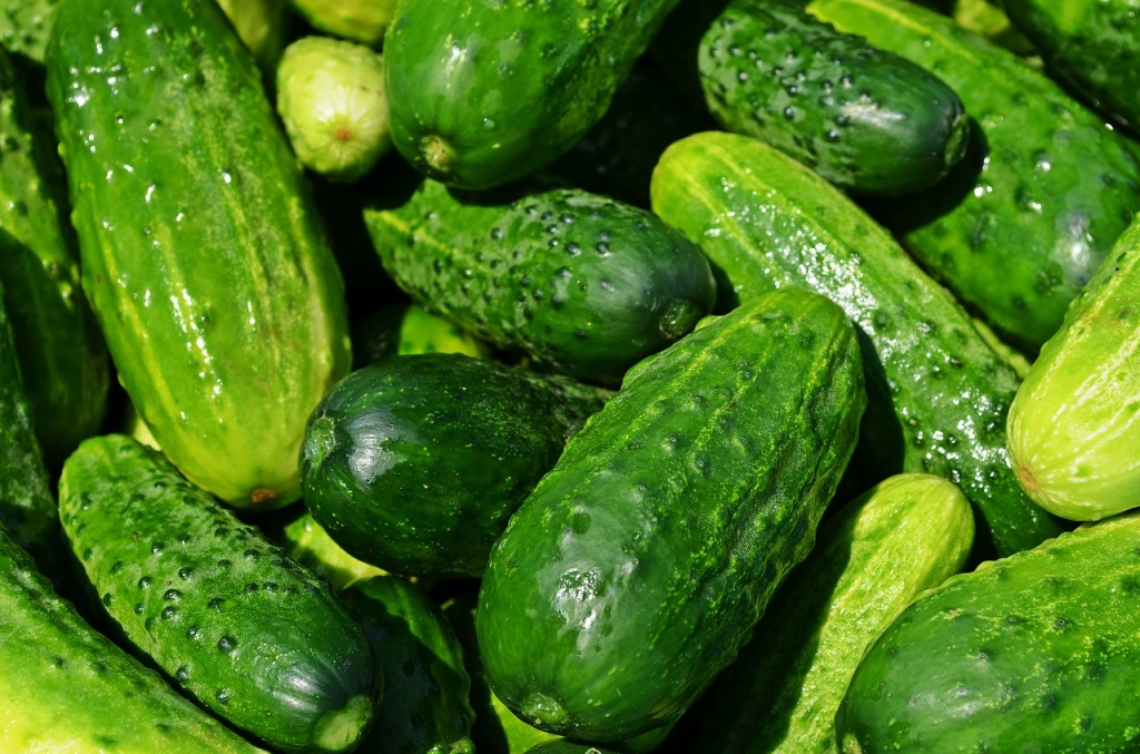 cucumbers-849269_1280.jpg