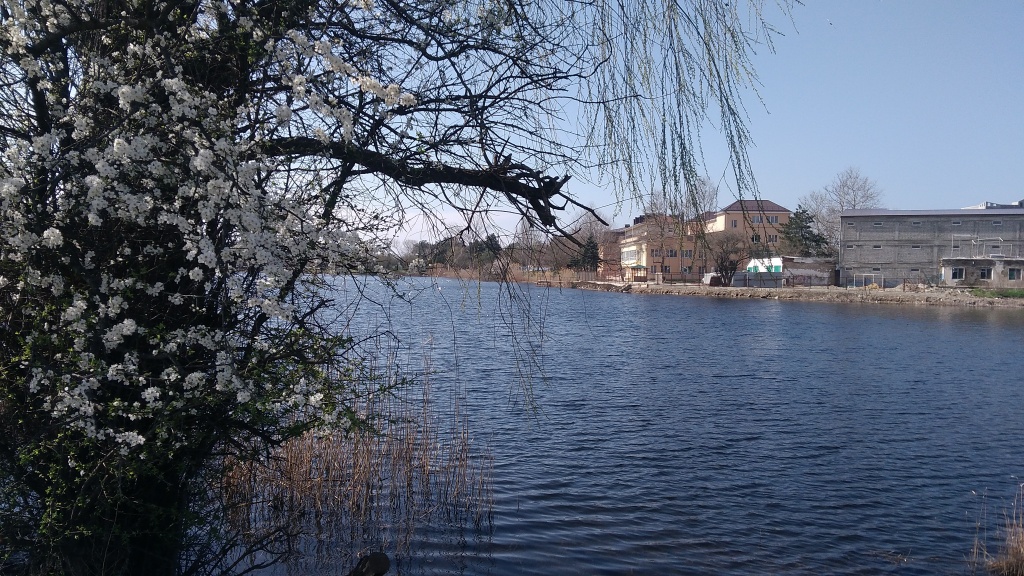 P_20180325_131908.jpg