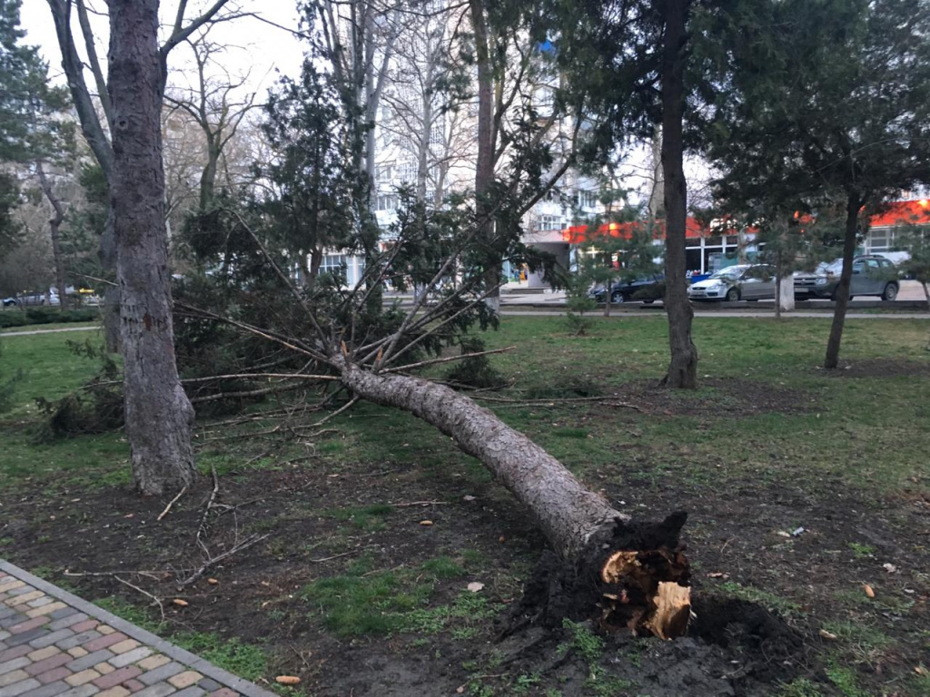 Что натворил бешеный ураганный ветер в Анапе: он нагнал страху