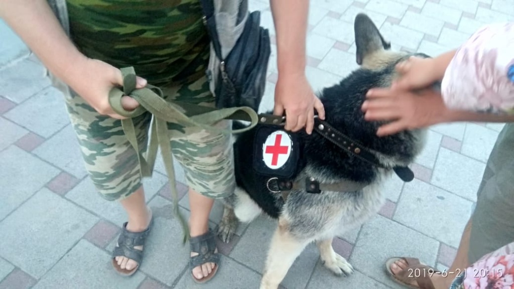 IMG-20190621-WA0067.jpg