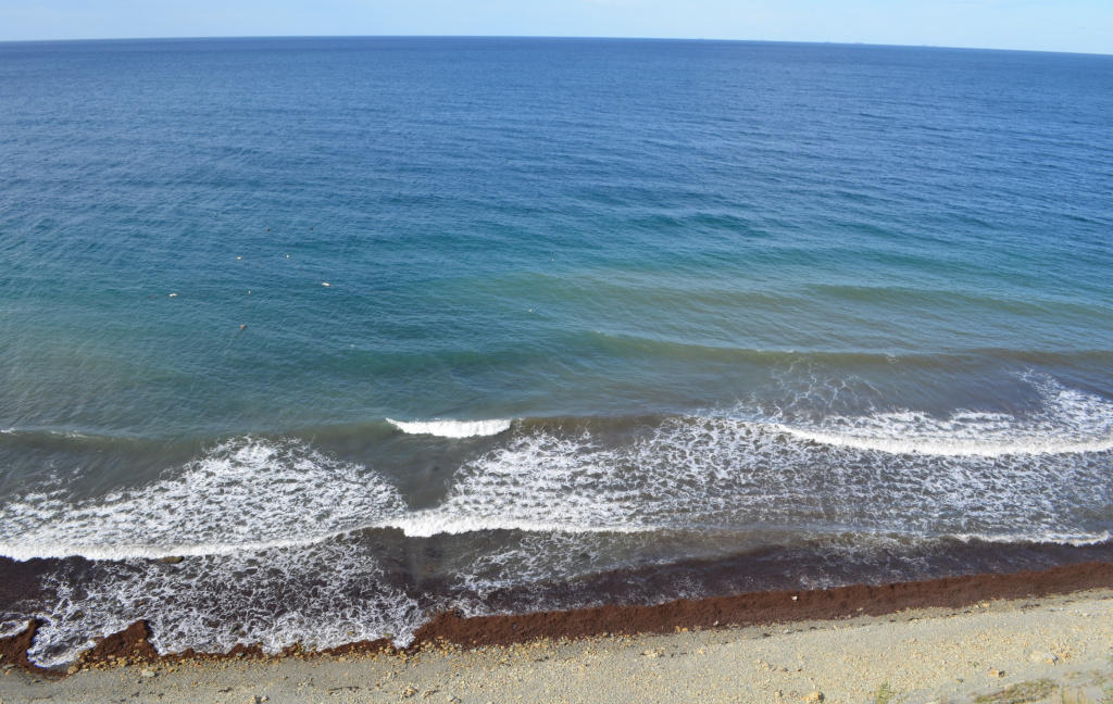 DSC_0343.JPG DSC_0343.JPG