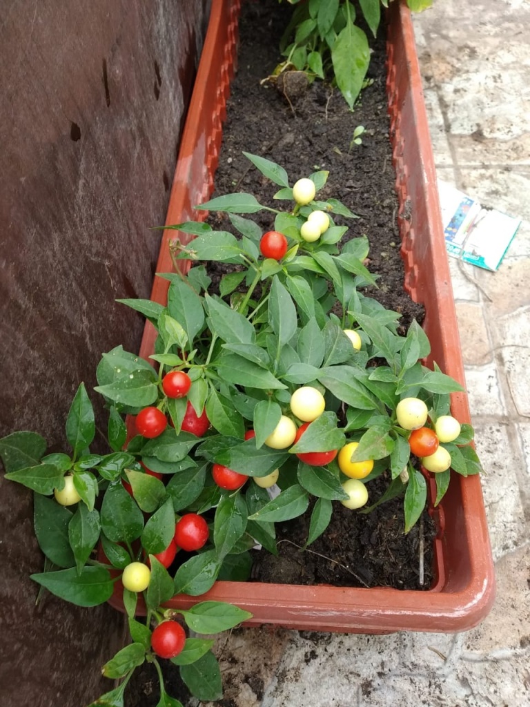 участник 33 (2).jpeg