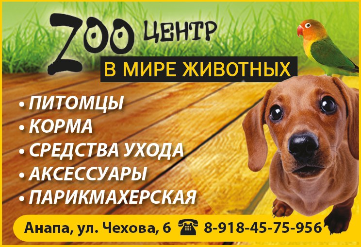 w58PsTbjjtY.jpg w58PsTbjjtY.jpg