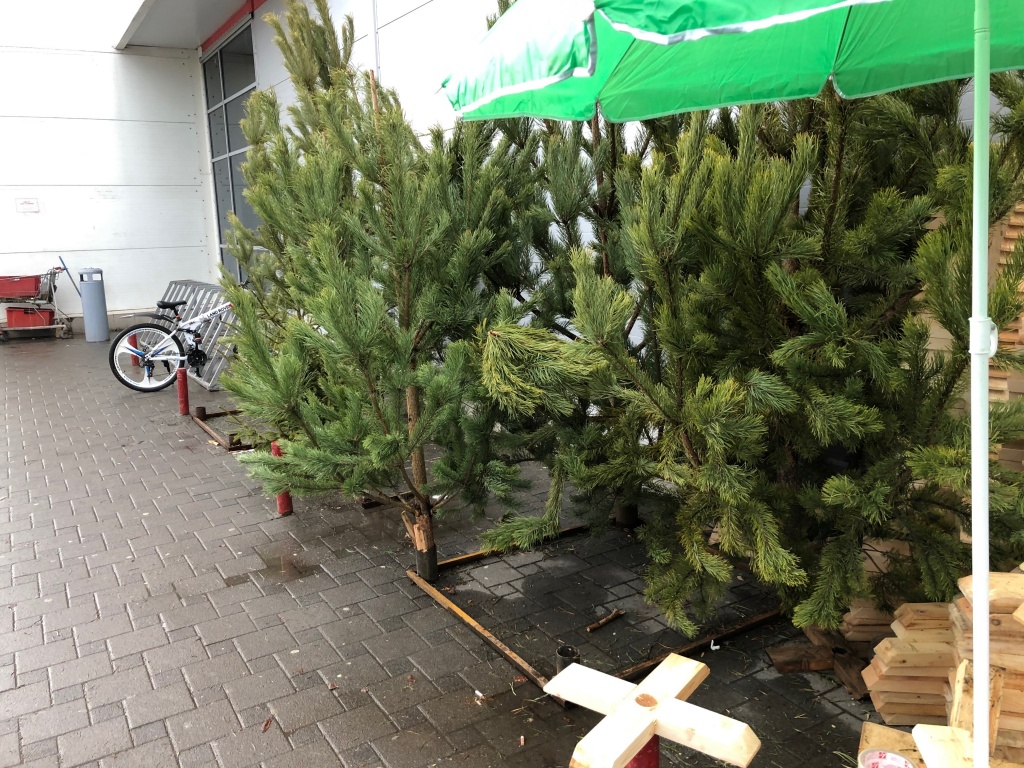IMG_1323.JPG IMG_1323.JPG