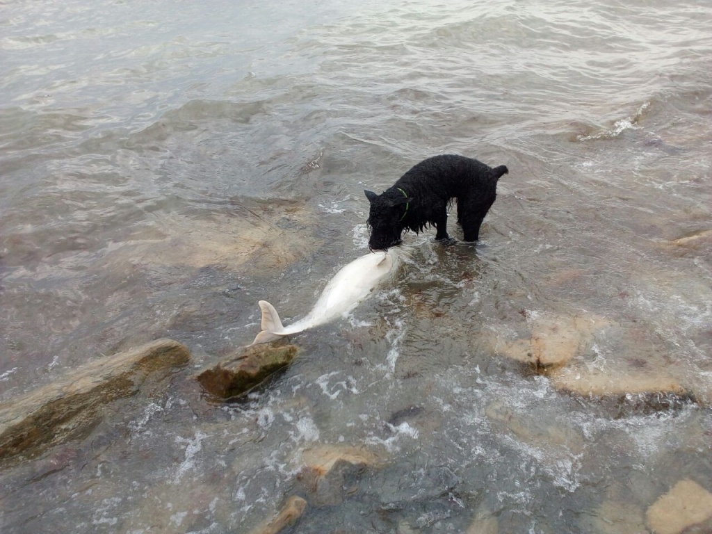 WhatsApp Image 2018-04-19 at 14.38.50 (1).jpeg