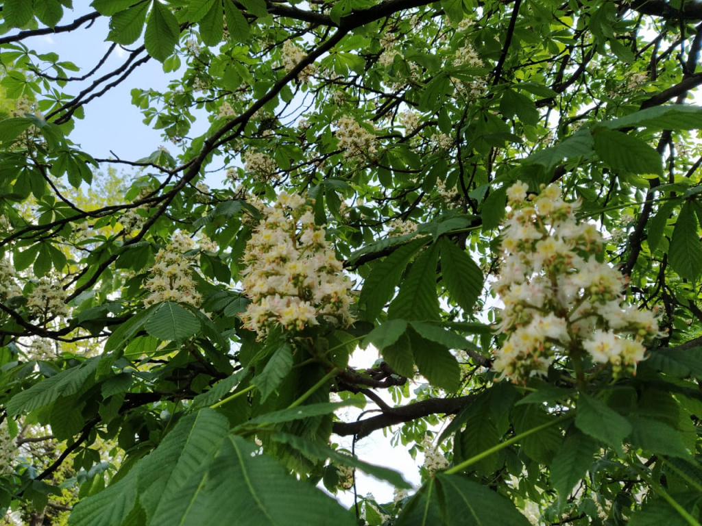 WhatsApp Image 2020-04-30 at 15.25.05.jpeg