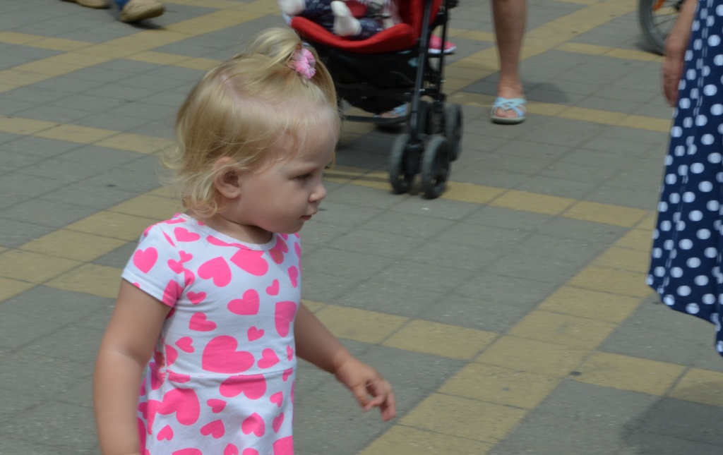 DSC_0118.jpg DSC_0118.jpg