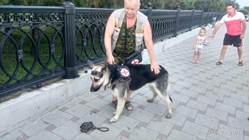 IMG-20190621-WA0072.jpg