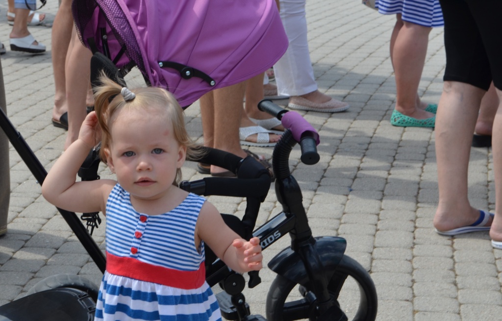 DSC_0158.jpg DSC_0158.jpg